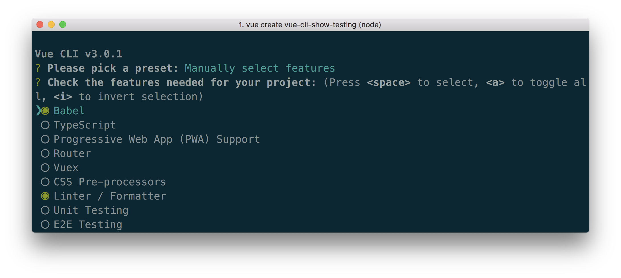 Screenshot of Vue CLI install testing options